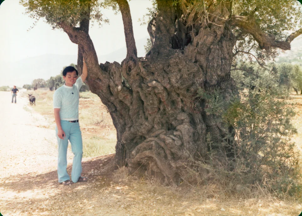 David beside an old olive tree, Israel, 1977.
