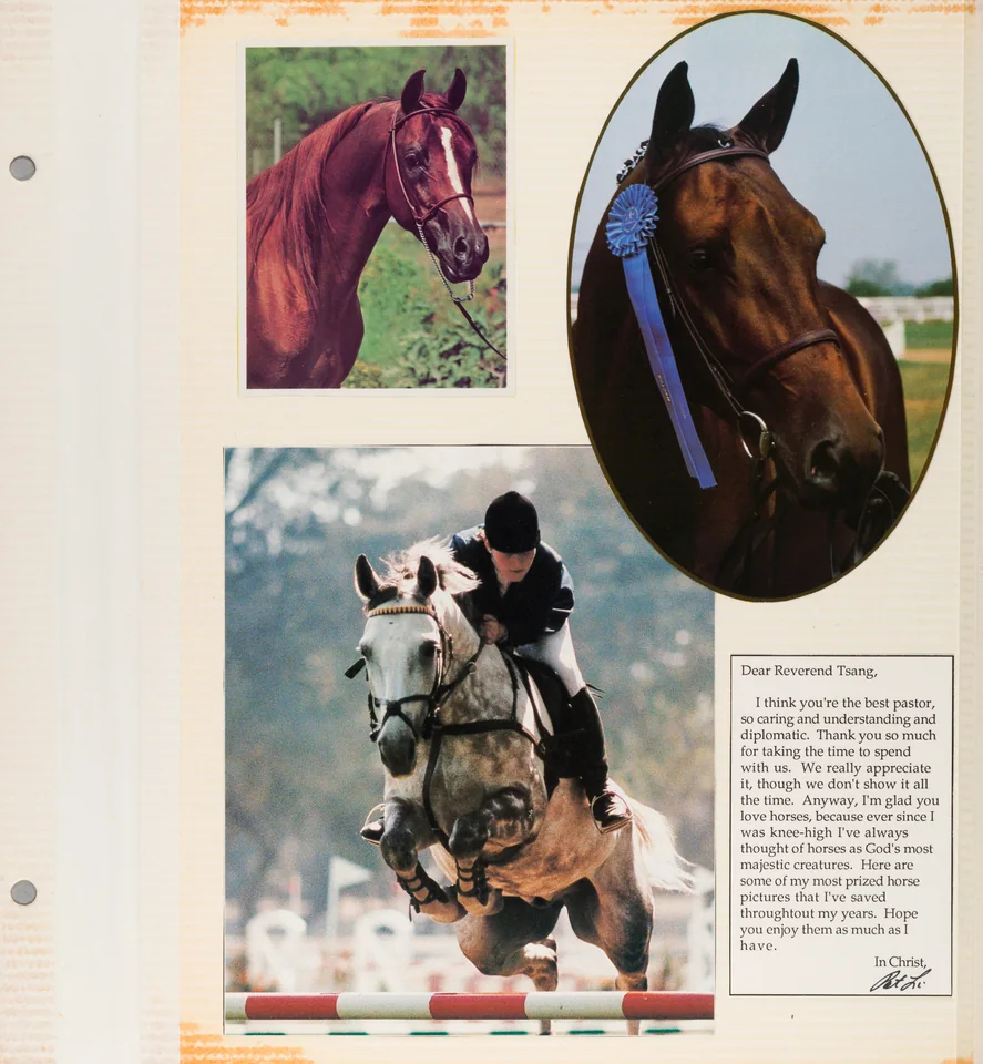 Horses cut from magazines, pasted around a letter of thanks.